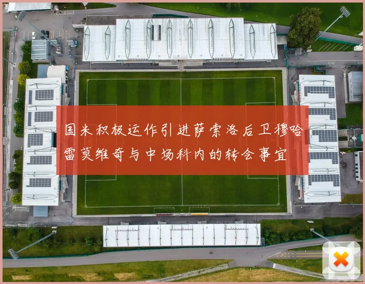 国米积极运作引进萨索洛后卫穆哈雷莫维奇与中场科内的转会事宜
